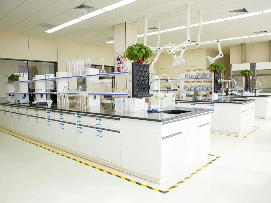 Laboratory testing for cat litter quality at the Liaoning facility